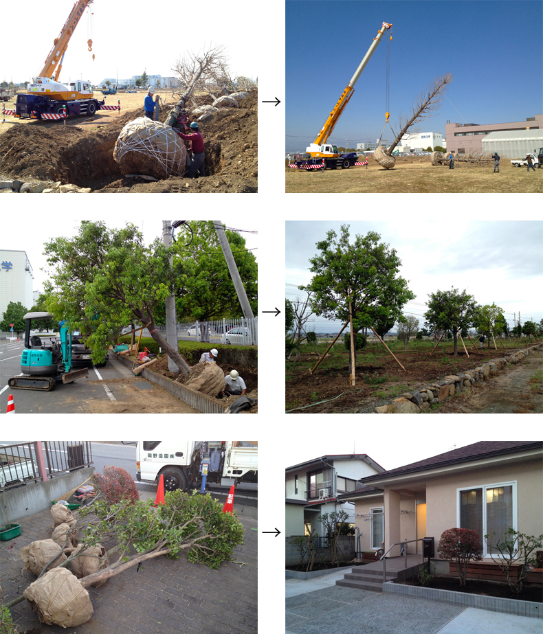 移植の施工例ページになります。