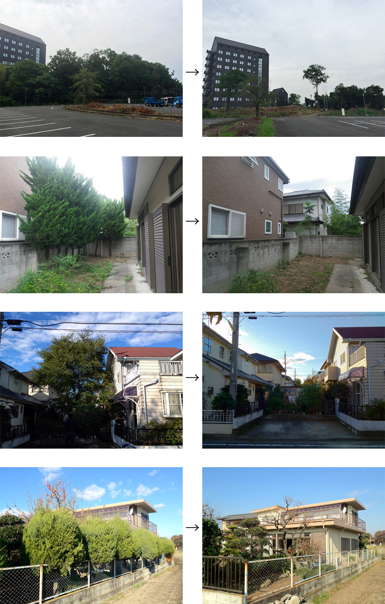 伐採の施工例ページになります。